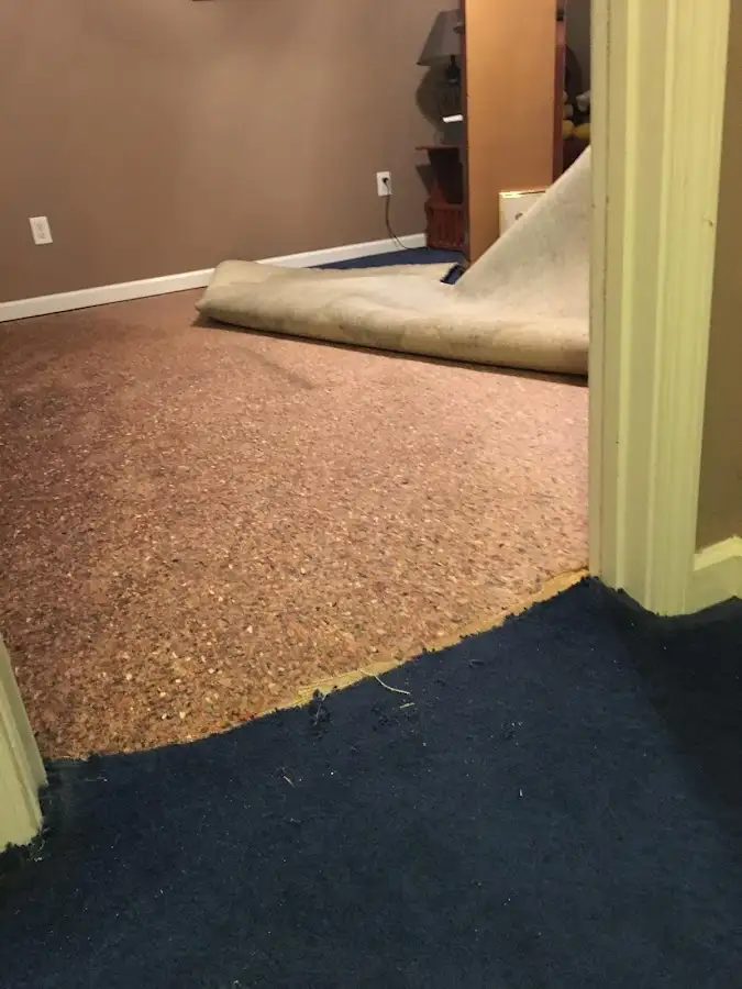 Carpet pad removal revealing water damage during Drying & Dehumidification in Benton Harbor