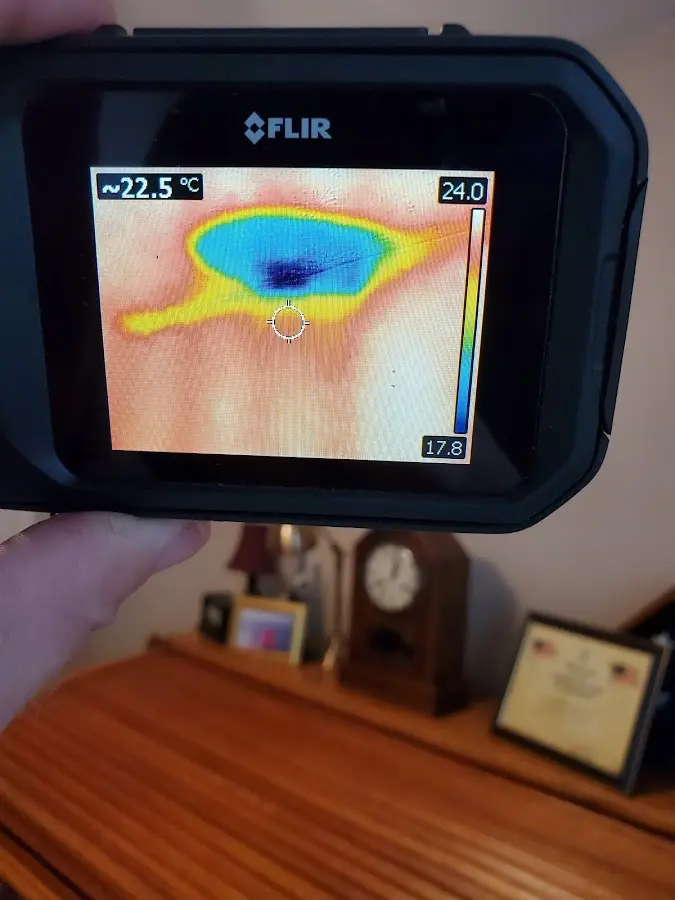 Thermal imaging inspection for water damage in Benton Harbor